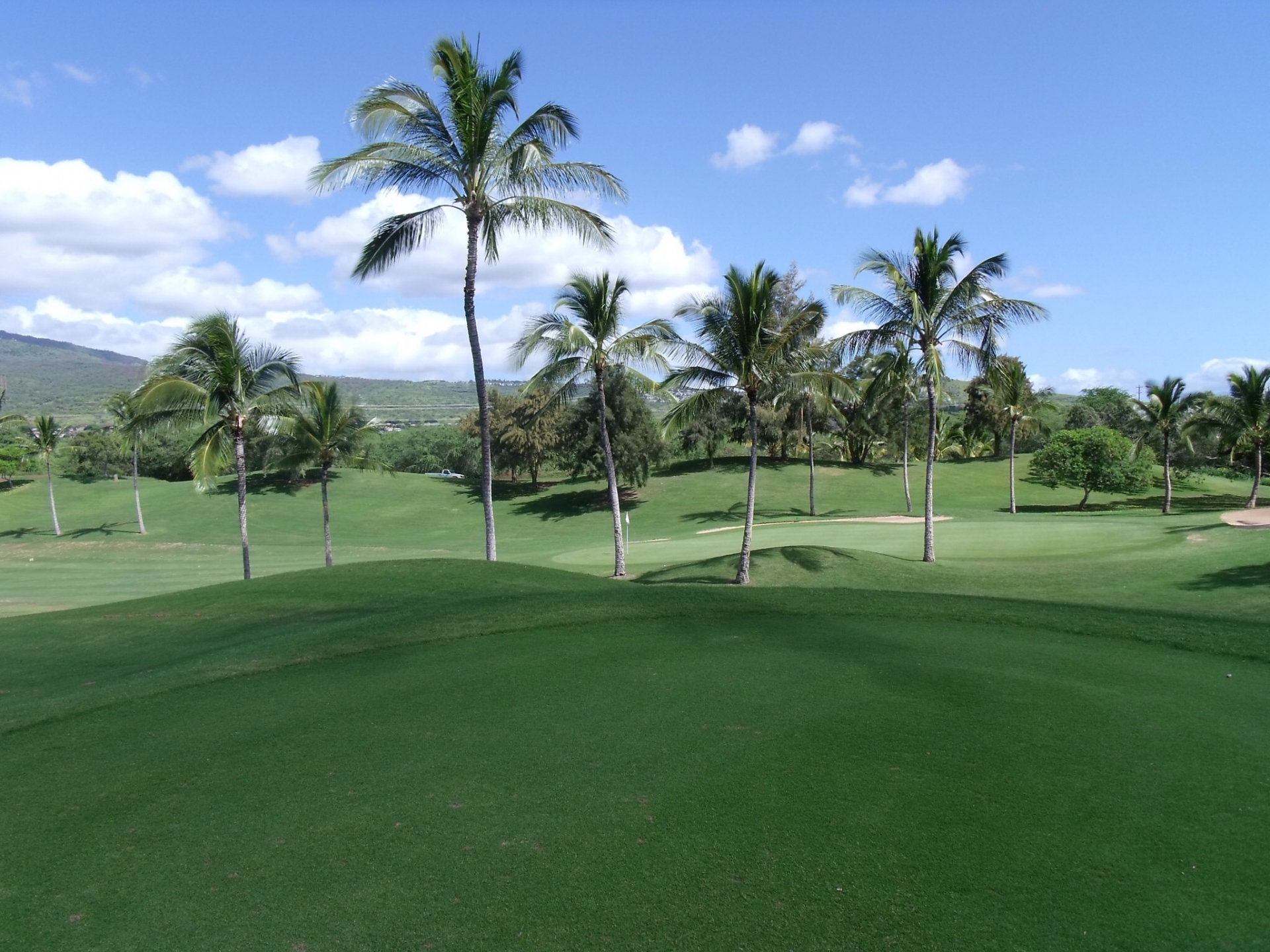 ハワイでゴルフ ひとり 99で送迎 クラブレンタル付きのお得プラン Tripuuu トリップー